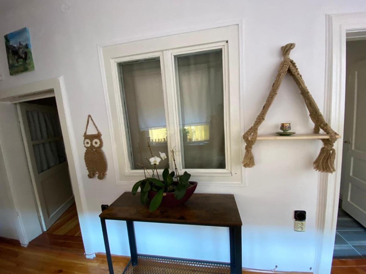 Home Of Art Rîşnov エクステリア 写真