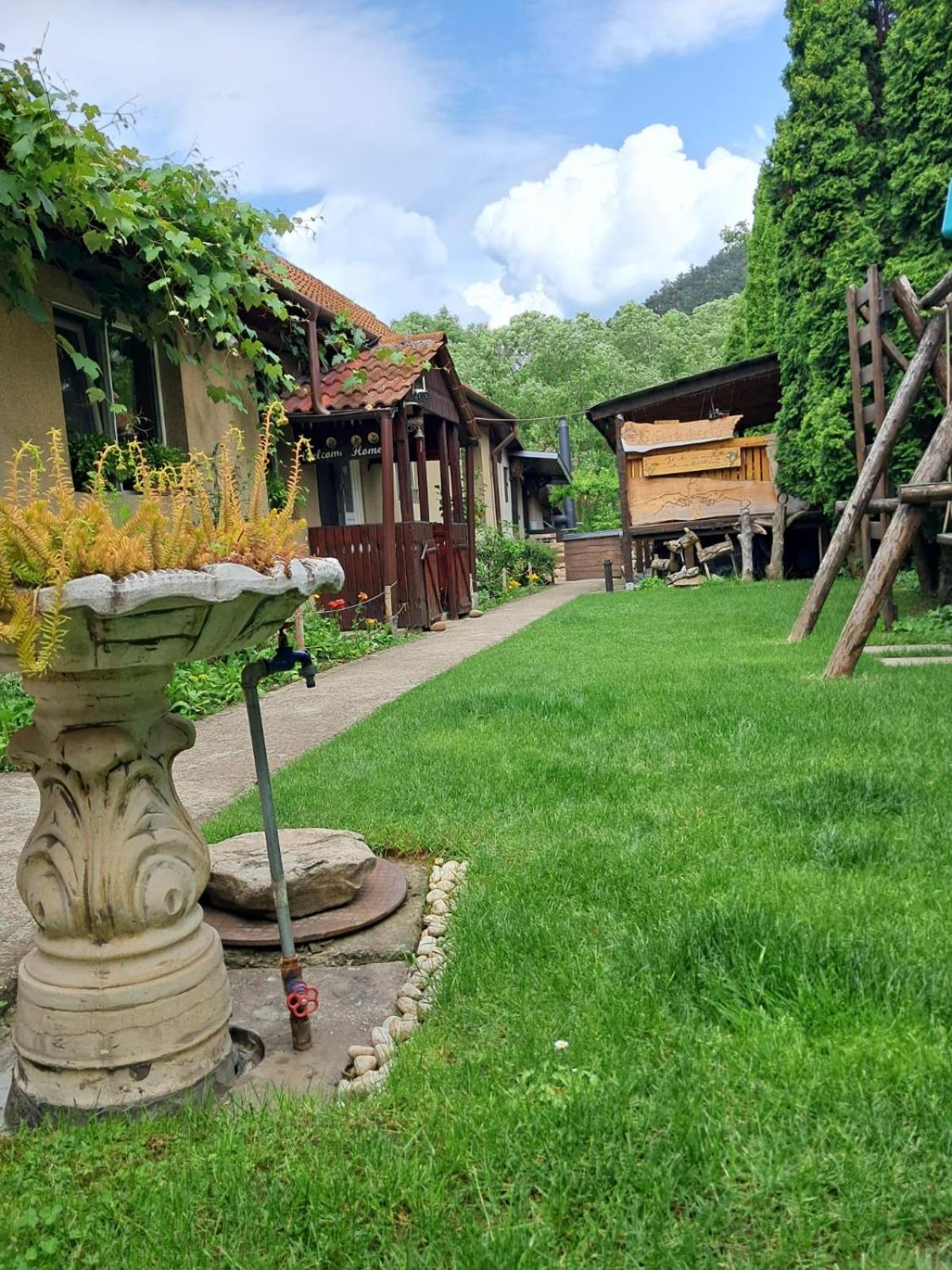 Home Of Art Rîşnov エクステリア 写真